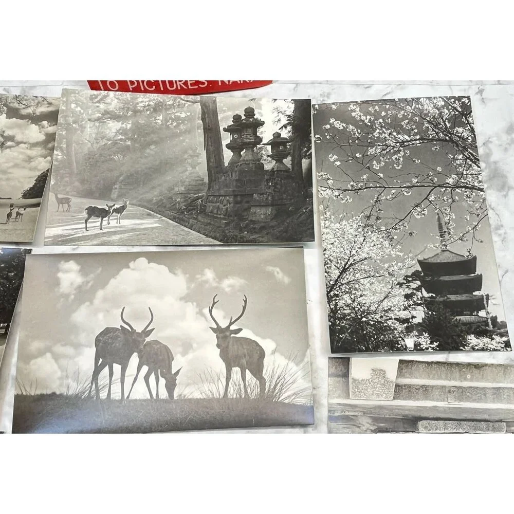 Nara-Park Japan RPPC Postcard Vintage Set of 9 Travel Souvenir Photos 1940s